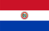 Sondages de recherche de marché du panel TGM au Paraguay