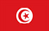 Sondages TGM pour gagner de l'argent en Tunisie